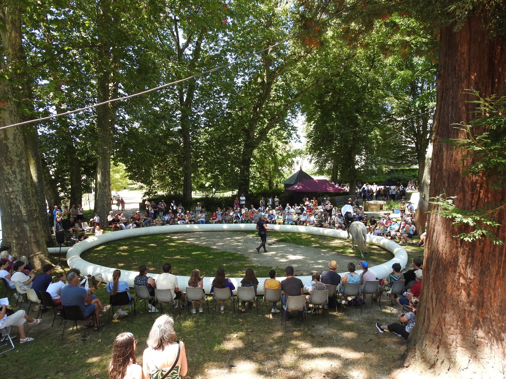 Du cote du square n°1