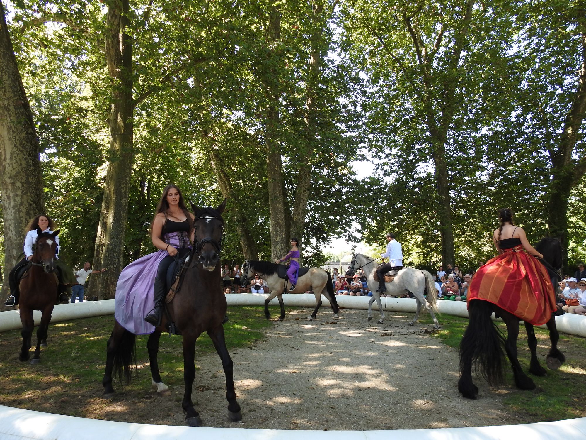Du cote du square n°7